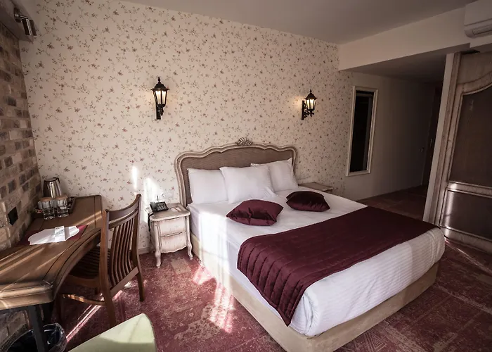 レイマー ホテルズ アンカラ